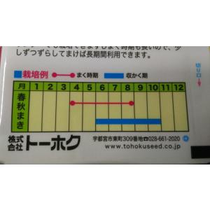 3袋以上でクーポン割引 スイート バジル バジ...の詳細画像2
