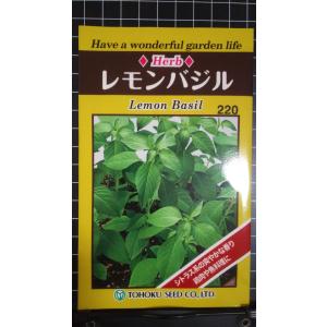 ３袋以上でクーポン割引 レモン バジル 種 郵便は送料無料