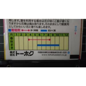 3袋以上でクーポン割引 レモン バジル 種 郵...の詳細画像2