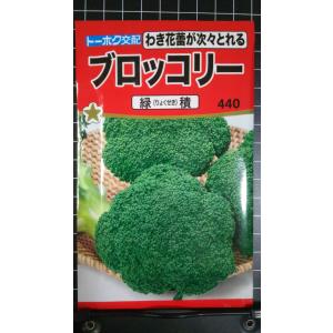 ３袋以上でクーポン割引 ブロッコリー 緑積 種 郵便は送料無料