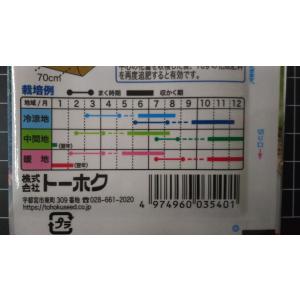 3袋以上でクーポン割引 ブロッコリー 緑積 種...の詳細画像2