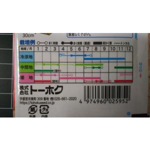 3袋以上でクーポン割引 フルーティ にんじん ...の詳細画像2