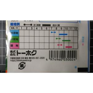 3袋以上でクーポン割引 秋どり ズッキーニ ピ...の詳細画像2
