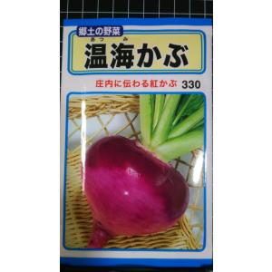 ３袋以上でクーポン割引 温海 あつみ かぶ 庄内 種 郵便は送料無料
