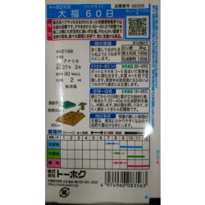 3袋以上でクーポン割引 大福 60 日 白菜 ...の詳細画像1
