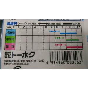 3袋以上でクーポン割引 大福 60 日 白菜 ...の詳細画像2