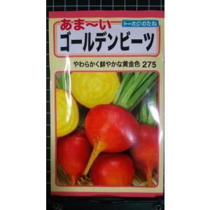 ３袋以上でクーポン割引 ゴールデン ビーツ あま〜い 種 郵便は送料無料