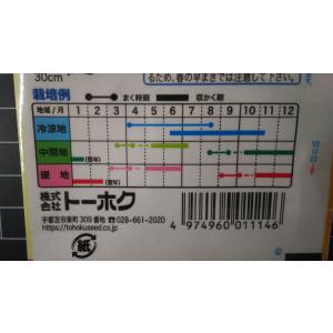 3袋以上でクーポン割引 ゴールデン ビーツ あ...の詳細画像2