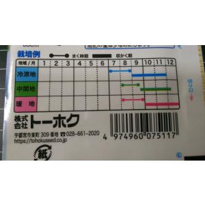 3袋以上でクーポン割引 郷秋 白菜 50日 種...の詳細画像2
