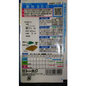 3袋以上でクーポン割引 郷秋 白菜 80日 種...の詳細画像1