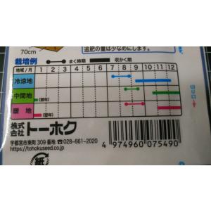 3袋以上でクーポン割引 郷秋 白菜 80日 種...の詳細画像2