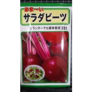 ３袋以上でクーポン割引 サラダ ビーツ あま〜い 種 郵便は送料無料