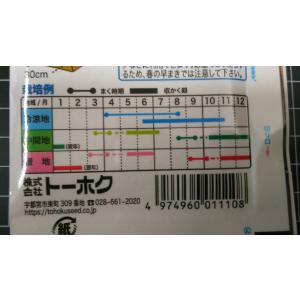 3袋以上でクーポン割引 サラダ ビーツ あま〜...の詳細画像2