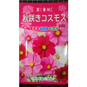 ３袋以上でクーポン割引 秋咲き コスモス 秋桜 種 郵便は送料無料