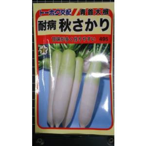 ３袋以上でクーポン割引 耐病 秋さかり 大根 種 郵便は送料無料 だいこん