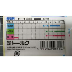 3袋以上でクーポン割引 耐病 秋さかり 大根 ...の詳細画像2