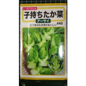 3袋以上でクーポン割引 子持ち たか菜 アーサイ...の商品画像