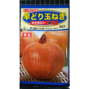 ３袋以上でクーポン割引 玉ねぎ 颯 ネオポロン 早どり 種 郵便は送料無料 たまねぎ