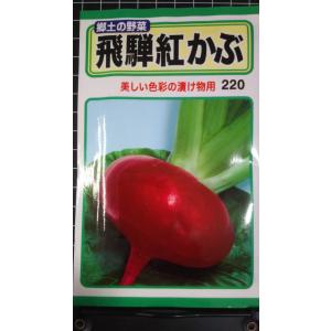 ３袋以上でクーポン割引 飛騨 紅 かぶ 種 郵便は送料無料 紅カブ