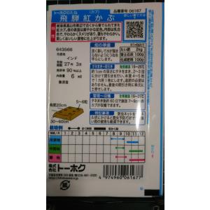 3袋以上でクーポン割引 飛騨 紅 かぶ 種 郵...の詳細画像1