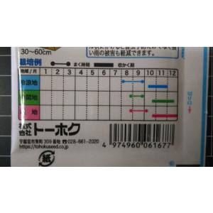 3袋以上でクーポン割引 飛騨 紅 かぶ 種 郵...の詳細画像2