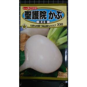 ３袋以上でクーポン割引 聖護院 かぶ 京の雪 種 郵便は送料無料
