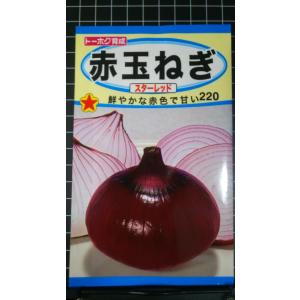 ３袋以上でクーポン割引 赤 玉ねぎ スターレッド たまねぎ 種 郵便は送料無料