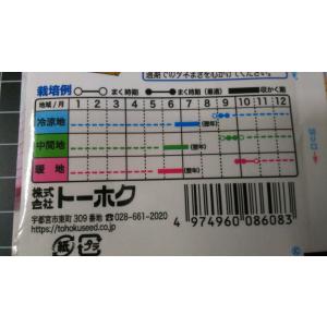 3袋以上でクーポン割引 赤 玉ねぎ スターレッ...の詳細画像2
