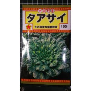 ３袋以上でクーポン割引 タアサイ ターサイ 種 郵便は送料無料