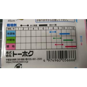 3袋以上でクーポン割引 耐病 打木源助 大根 ...の詳細画像2