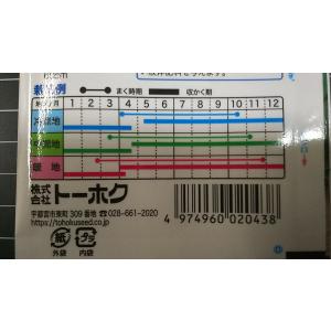 3袋以上でクーポン割引 イタリアン パセリ 種...の詳細画像2