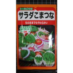 ３袋以上でクーポン割引 サラダ こまつな 小松菜 種 郵便は送料無料