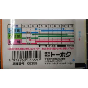 3袋以上でクーポン割引 サラダ こまつな 小松...の詳細画像2