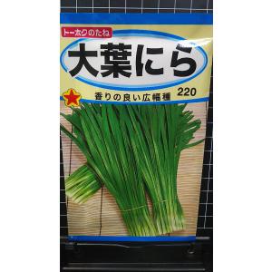 ３袋以上でクーポン割引 大葉 ニラ 広幅 にら 種 郵便は送料無料