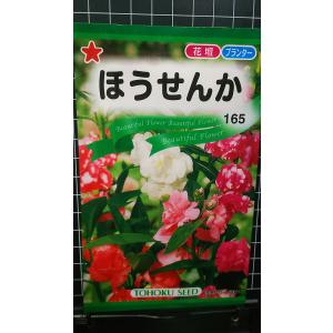 ３袋以上でクーポン割引 ほうせんか 種 郵便は送料無料