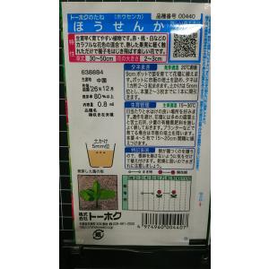 3袋以上でクーポン割引 ほうせんか 種 郵便は...の詳細画像1