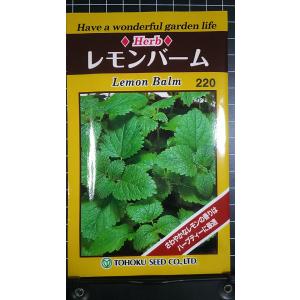 ３袋以上でクーポン割引 レモンバーム 種 郵便は送料無料