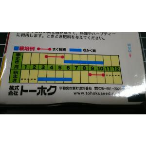 3袋以上でクーポン割引 レモンバーム 種 郵便...の詳細画像2
