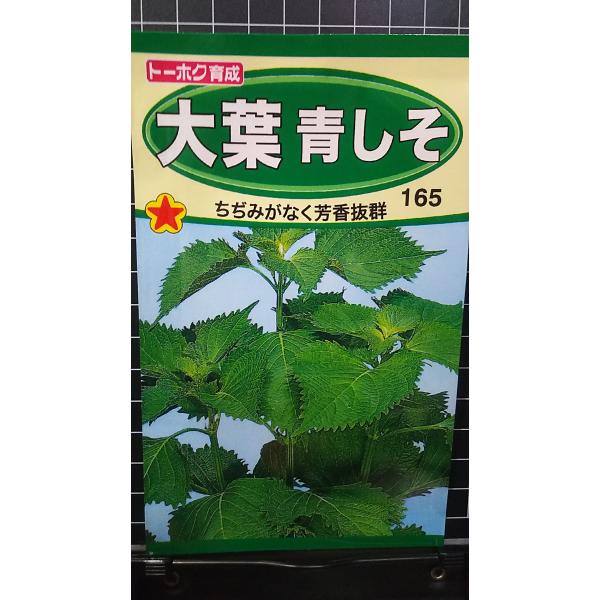 ３袋以上でクーポン割引 大葉 青 しそ アオシソ 種 郵便は送料無料
