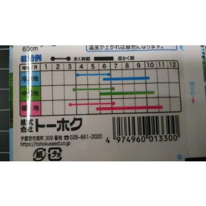 3袋以上でクーポン割引 大葉 青 しそ アオシ...の詳細画像2