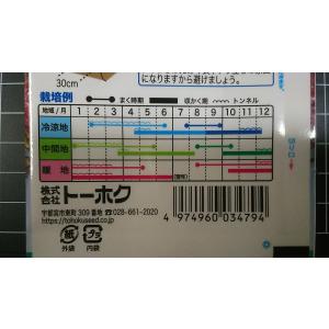 3袋以上でクーポン割引 サニーレタス リーフレ...の詳細画像2