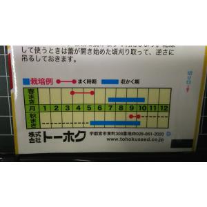 3袋以上でクーポン割引 タイム 種 郵便は送料無料の詳細画像2