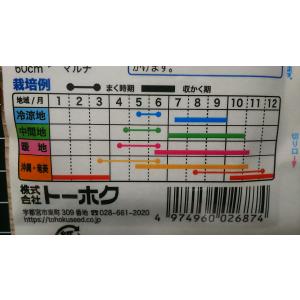 3袋以上でクーポン割引 丸莢 オクラ エメラル...の詳細画像2