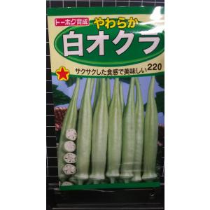 ３袋以上でクーポン割引 白 オクラ やわらか 種 郵便は送料無料