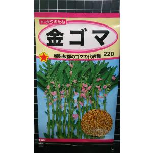 ３袋以上でクーポン割引 金ゴマ ごま 種 郵便は送料無料