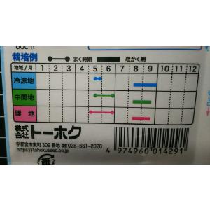 3袋以上でクーポン割引 金ゴマ ごま 種 郵便...の詳細画像2