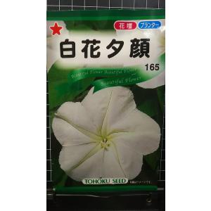 ３袋以上でクーポン割引 白花 夕顔 ユウガオ 種 郵便は送料無料
