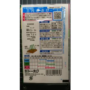 3袋以上でクーポン割引 三尺 3尺 ささげ 種...の詳細画像1