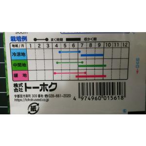 3袋以上でクーポン割引 三尺 3尺 ささげ 種...の詳細画像2