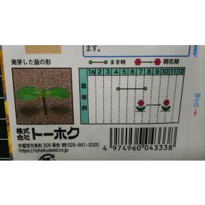 3袋以上でクーポン割引 コンサートベル 房咲 ...の詳細画像2